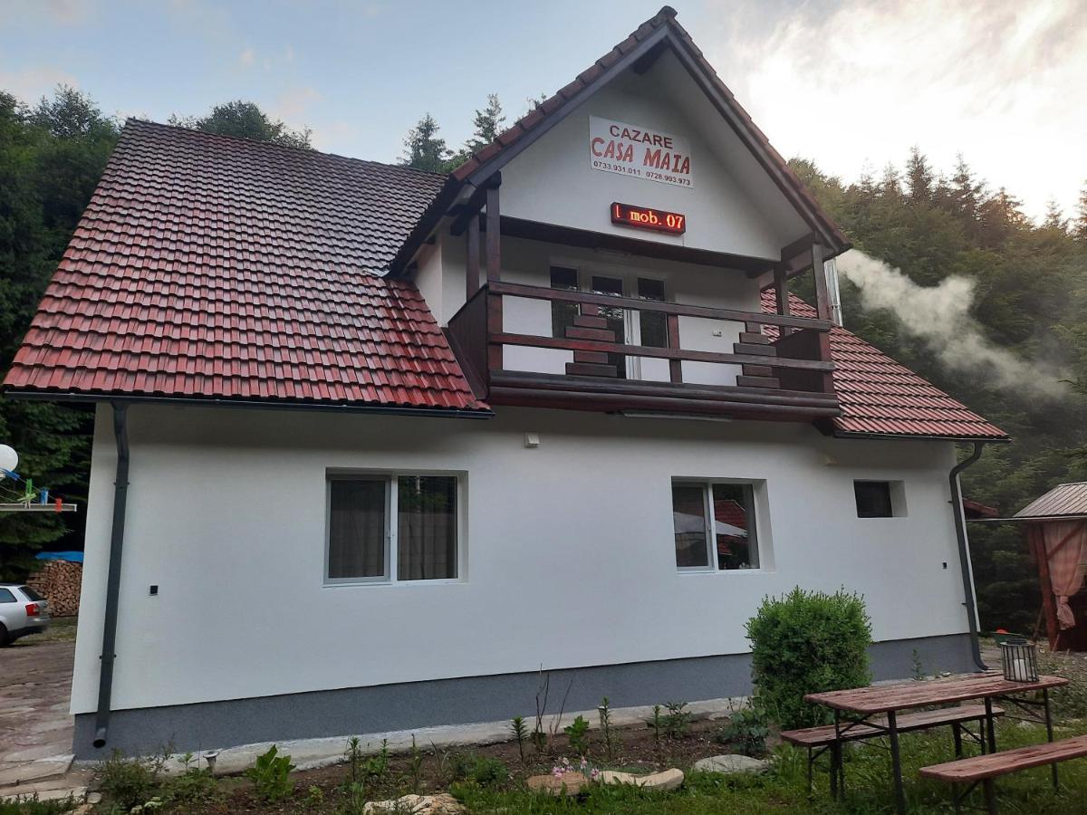 Apartamento Casa Maia Cîrţişoara Exterior foto