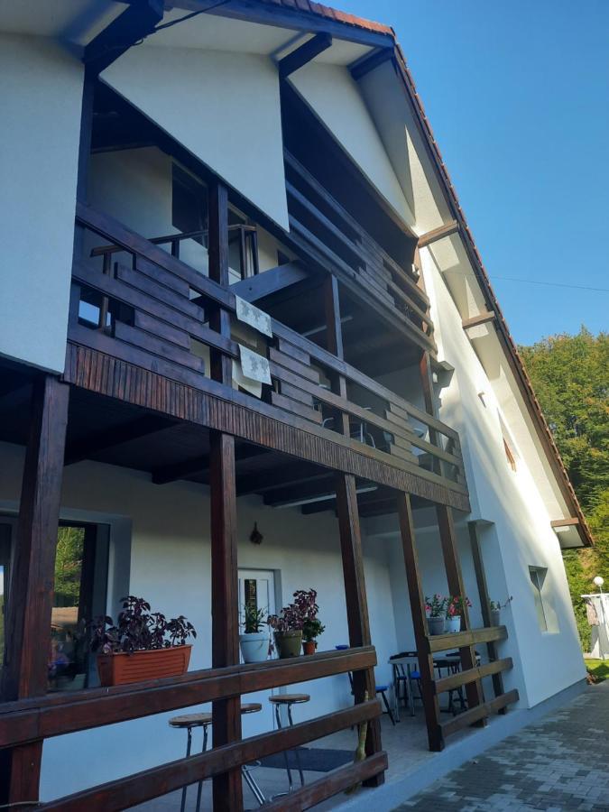 Apartamento Casa Maia Cîrţişoara Exterior foto