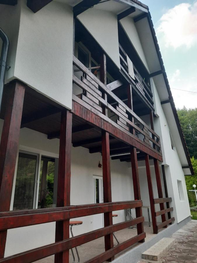 Apartamento Casa Maia Cîrţişoara Exterior foto