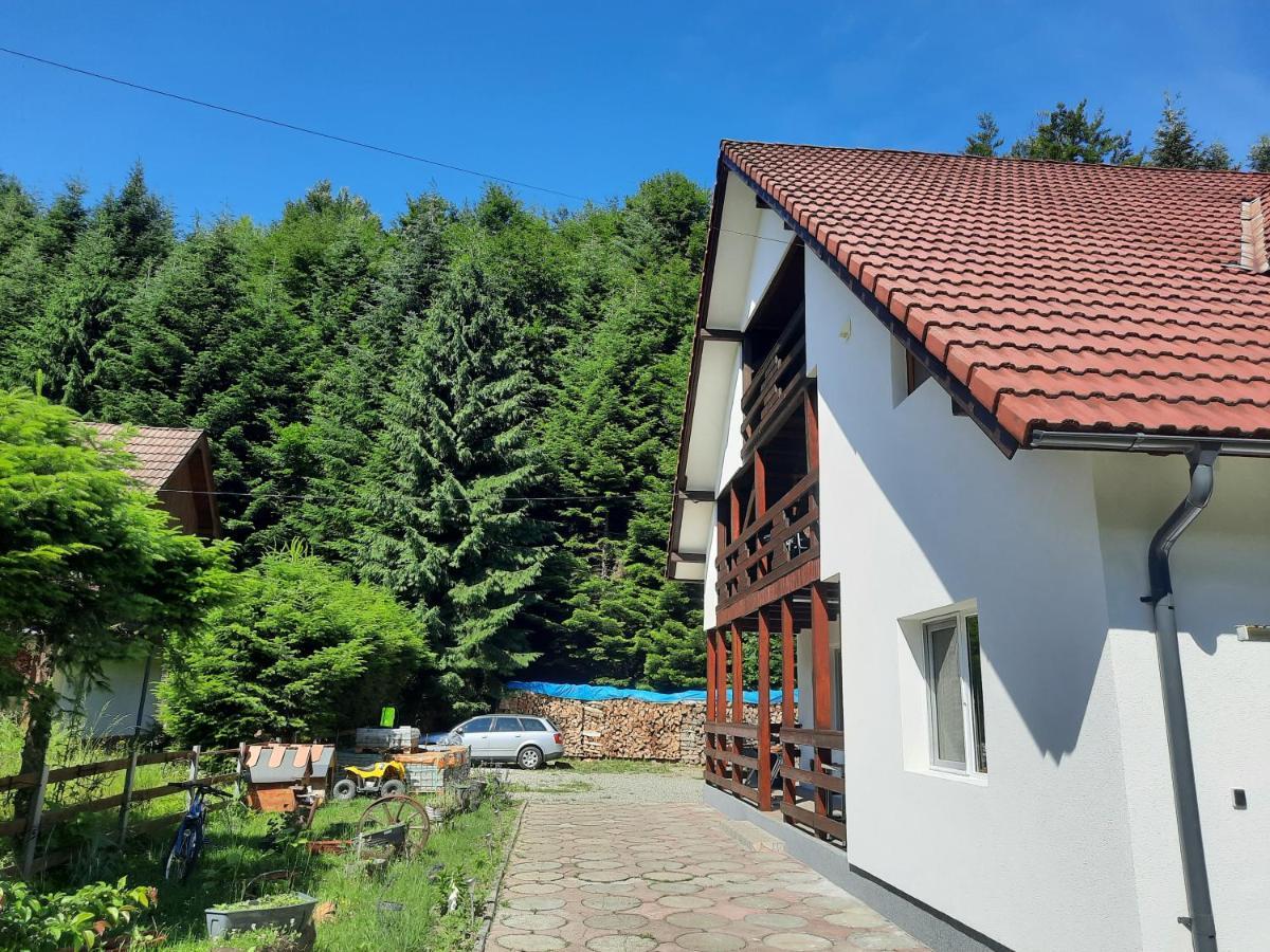 Apartamento Casa Maia Cîrţişoara Exterior foto