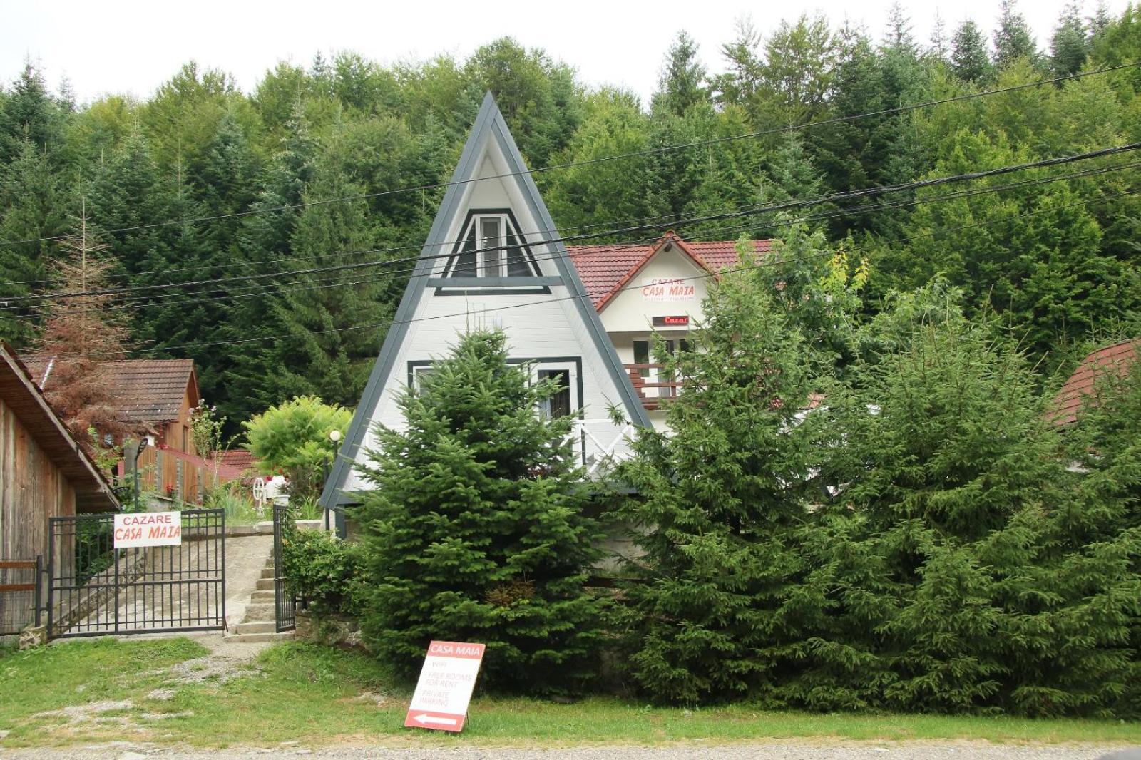 Apartamento Casa Maia Cîrţişoara Exterior foto