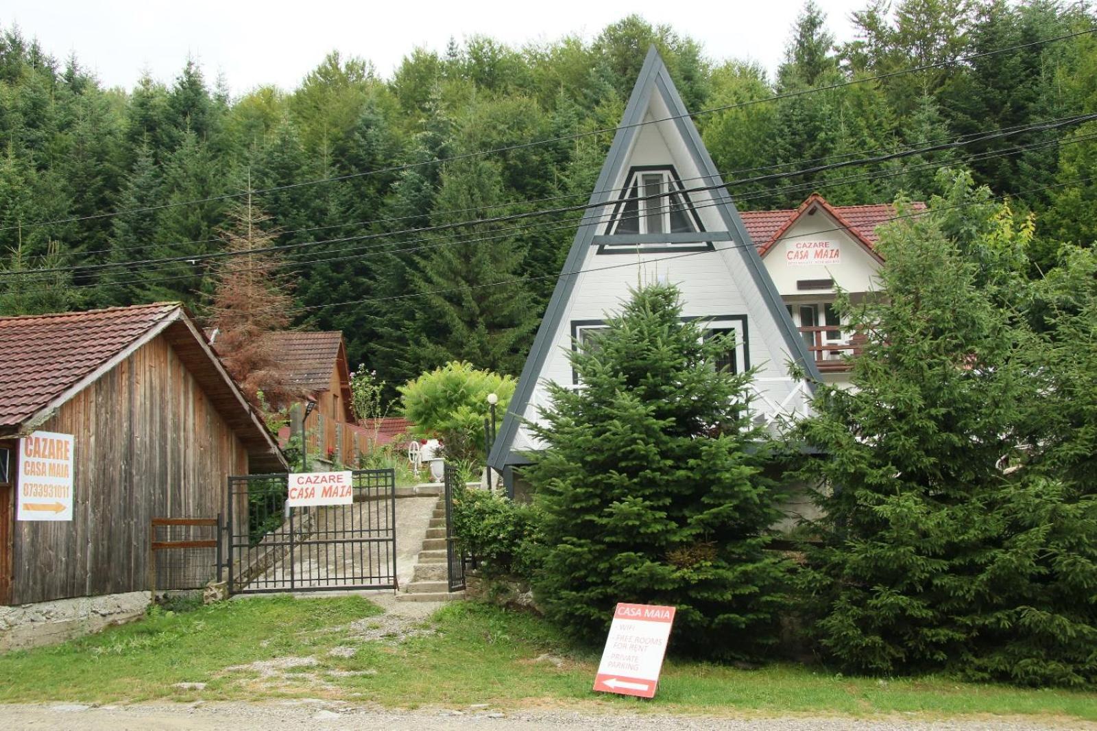 Apartamento Casa Maia Cîrţişoara Exterior foto